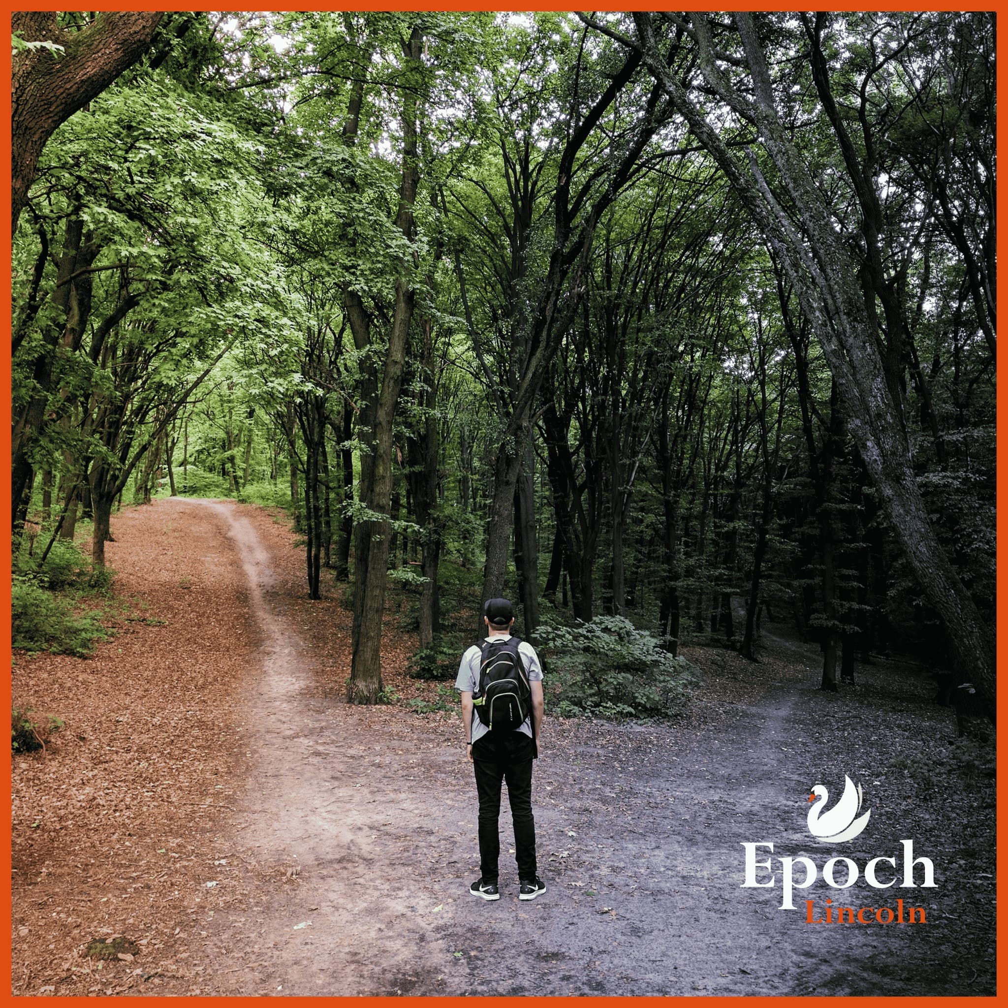The Power of Choice: Shaping Your Path to Wellness