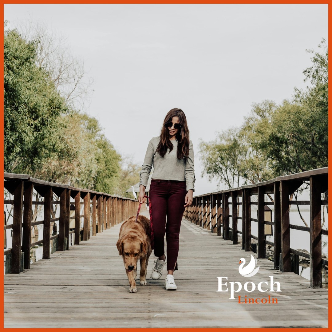 Dog Walking Disasters – Is Your Pup Pulling Your Posture Out of Place?