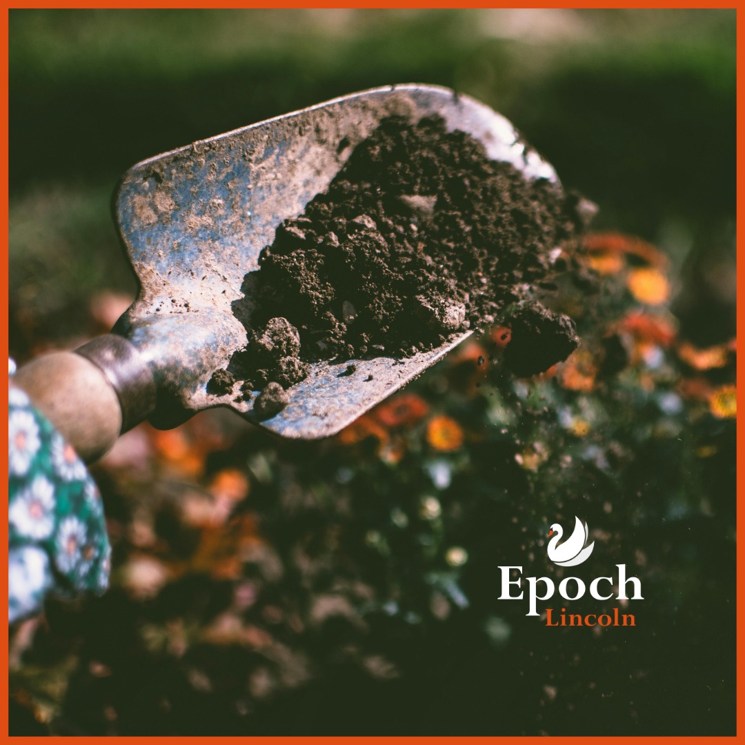 Gardening Without the Ache: How to Keep Your Back Happy While Digging In